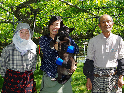 こんにちは!宮脇果樹園です!